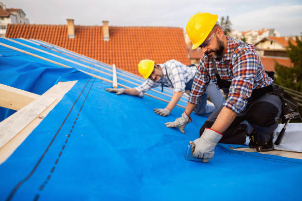 Best Storm Damage Roof Repair  in Coats Bend, AL